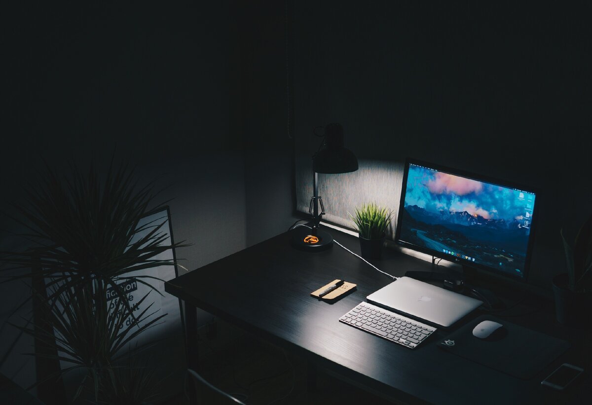 SoffStudy - frontend dasturlash kursi